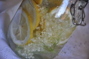 Sciroppo con fiori di sambuco e limoni