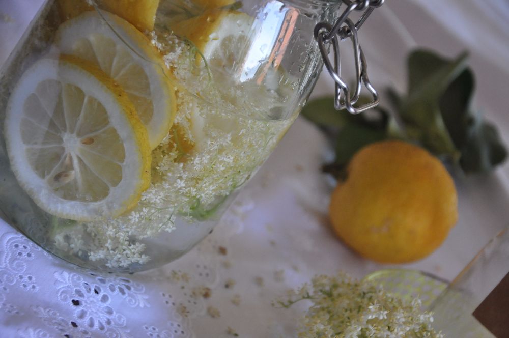 Vaso con fiori di sambuco e limoni a fette