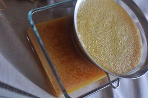 Il succo di fico d'india setacciato