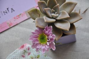 Decorazione floreale con succulenta e piccola margherita viola