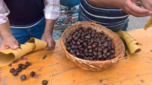 Castagne bollite