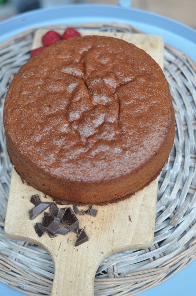 Genoise al cioccolato